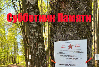 В Звенигороде 11 мая пройдёт субботник, посвящённый памяти земляков, погибших в годы Великой Отечественной войны