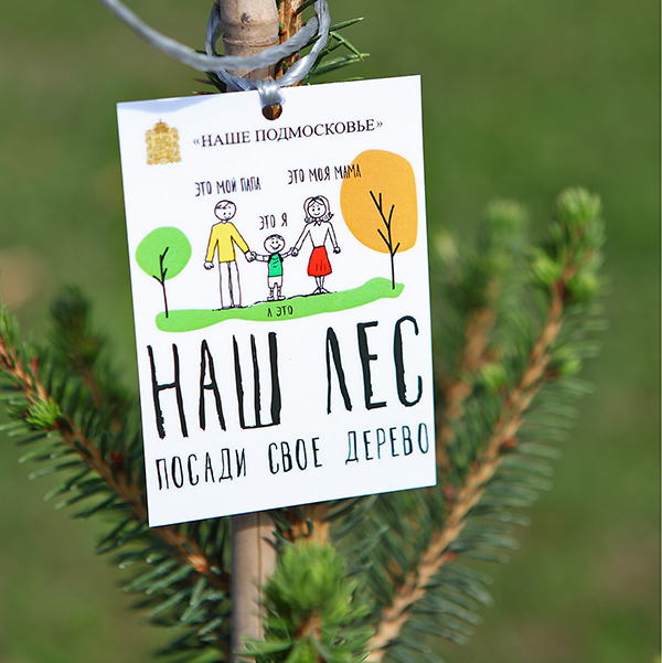 Свыше 57 тысяч саженцев сосны высадят участники ежегодной акции «Наш лес. Посади свое дерево»