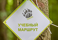«ПандаПарк» откроют в Одинцовском парке культуры, спорта и отдыха