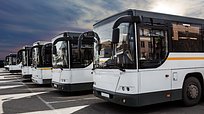 В Одинцовском городском округе запустили 243 бесплатных автобуса до парка «Патриот»