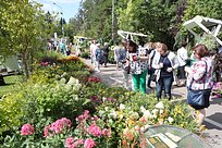 Областной эко-фестиваль «Цвет лета» прошёл в Одинцово