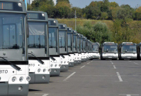 Бесплатные автобусы для участников акции «Наш лес» запустят в Одинцовском округе