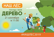 Акция «Наш лес. Посади свое дерево» пройдет в Одинцовском округе 21 сентября