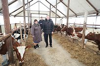 Андрей Иванов посетил Крестьянско-фермерское хозяйство в Ершово