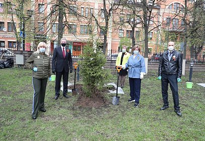 Более 100 деревьев высадили в рамках акции «Сад Памяти» в Одинцовского округе