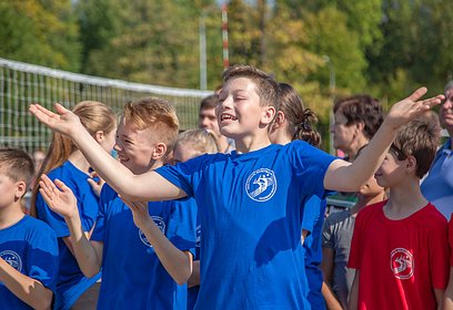 II Фестиваль волейбола пройдет в Одинцовском парке культуры, спорта и отдыха 12 сентября