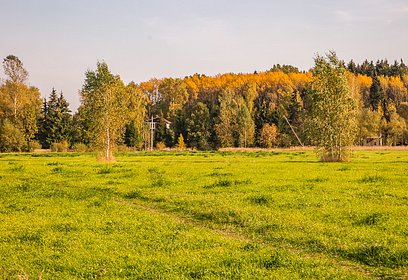 До 12 октября ограничен доступ жителей в леса Подмосковья из‑за пожароопасности
