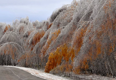 На территории Одинцовского округа 18 и 19 ноября возможны «ледяные дожди»