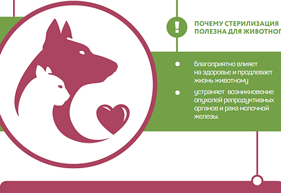 Минсельхоз московской области напоминает о положительных моментах стерилизации домашних животных