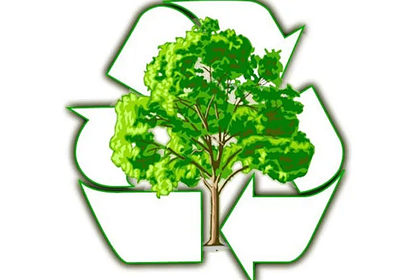 Одинцовский округ вошёл в число лучших муниципалитетов по итогам эко-марафона «Сдай макулатуру — спаси дерево»