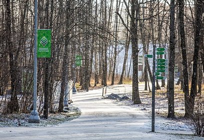 Лыжные трассы Одинцовского городского округа вошли в Топ-10 Подмосковья