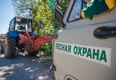 За первую неделю августа в Подмосковье ликвидировано 26 лесных пожаров