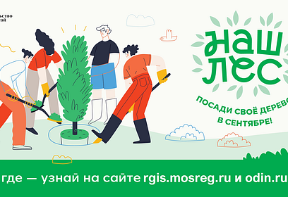 Акция «Наш лес. Посади своё дерево» пройдёт 17 сентября в Одинцовском округе