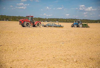 Сельскохозяйственная отрасль Одинцовского округе демонстрирует устойчивый рост