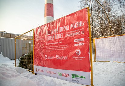Акция «Подари вторую жизнь своей ёлке!» пройдет в Одинцовском округе с 15 января по 15 февраля