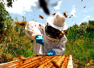 В Одинцовском округе появится новый завод по производству продуктов из натурального мёда