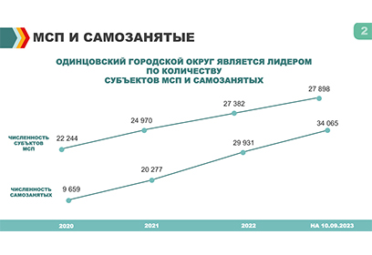 Одинцовский городской округ является лидером по количеству субъектов МСП и самозанятых
