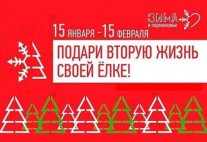 В Одинцовском городском округе пройдет акция «Подари вторую жизнь своей ёлке!»