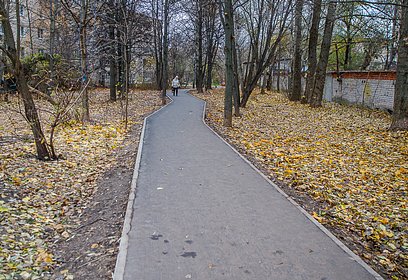 В 2024 году в Одинцовском городском округе благоустроят 32 народные тропы