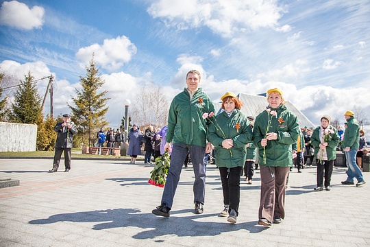Свыше 60 тысяч деревьев посадили в Одинцовском районе на акции «Лес Победы»
