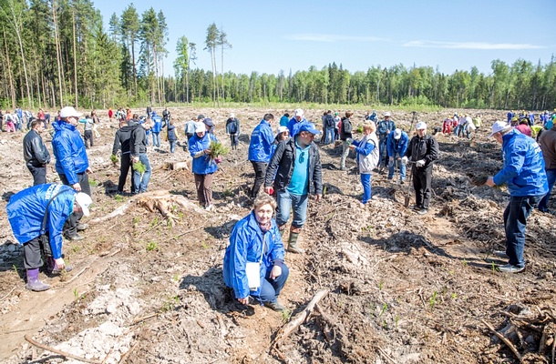 В Одинцовском районе более 800 «единороссов» примут участие в акции «Лес Победы»