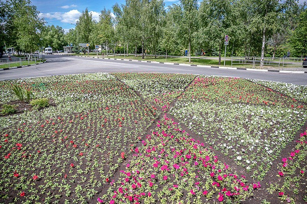 Более 490 тысяч цветов будет высажено на клумбах в Одинцово, Июнь