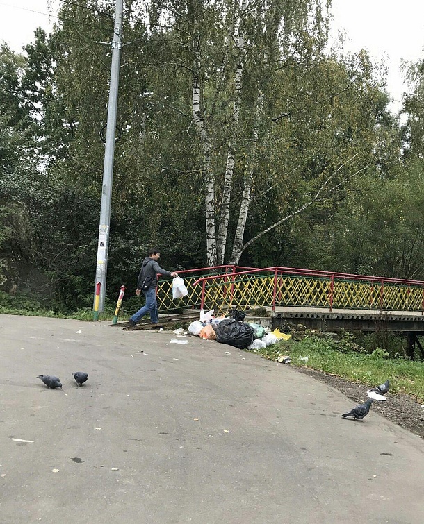В Одинцовском районе проходят специальные засады по выявлению нарушителей чистоты, Июль