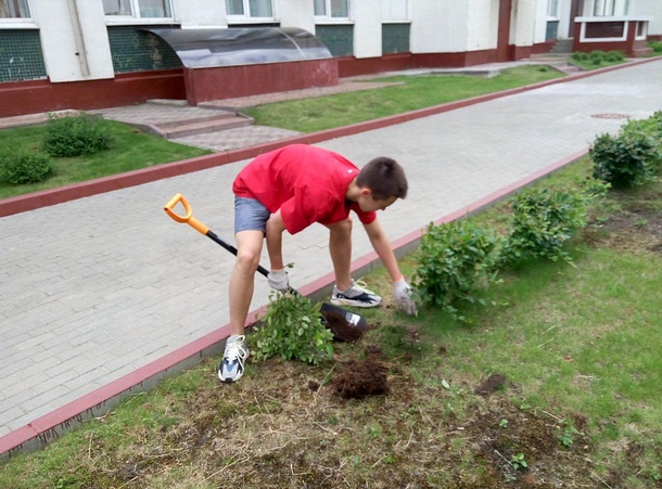 Более 800 школьников работают летом в общеобразовательных учреждениях Одинцовского округа, Июнь