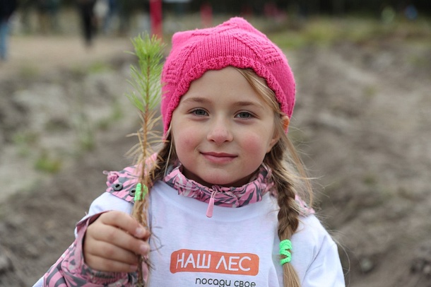 Свыше 26 000 человек приняли участие в акции «Наш лес» в Одинцовском городском округе, Сентябрь