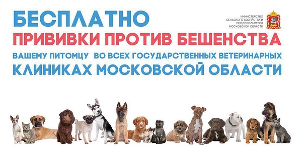 Сделать прививку против бешенства можно бесплатно в любой участковой ветеринарной лечебнице Одинцовского округа, Октябрь