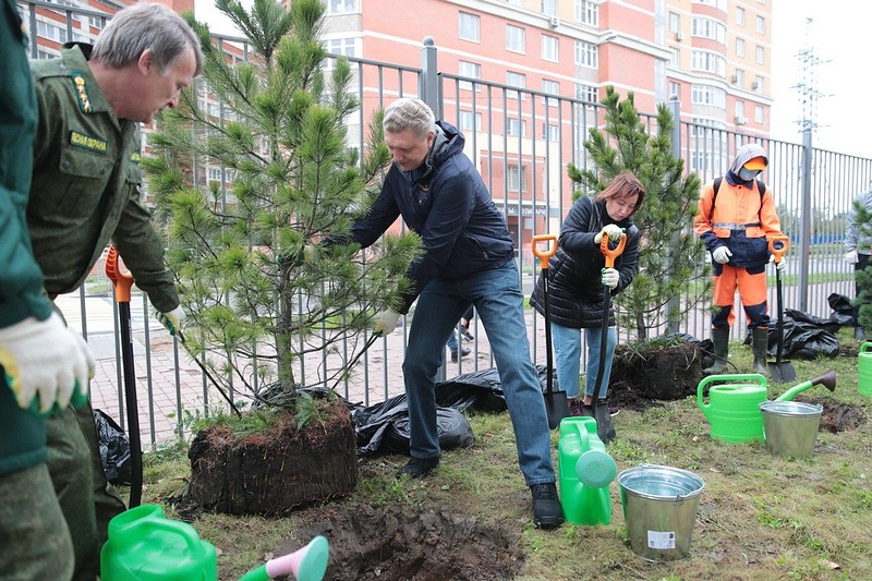 Акция «Сохраним лес» стартовала в Одинцовском округе, Сентябрь