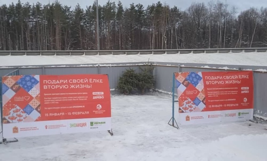 В Одинцовском округе действует 11 пунктов утилизации новогодних ёлок, Январь