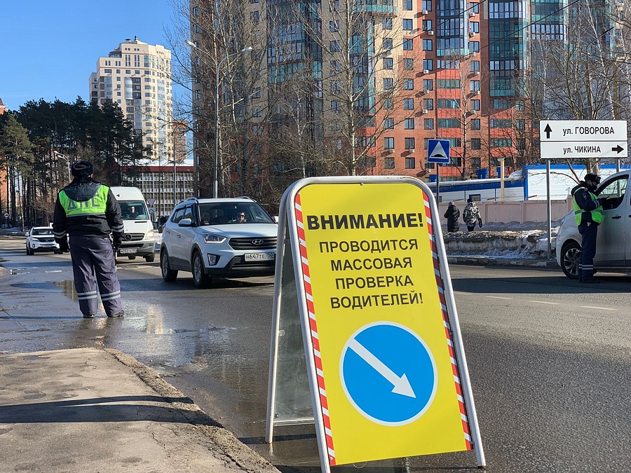 В Одинцовском городском округе дорожные полицейские провели профилактический рейд «Детское кресло», Февраль