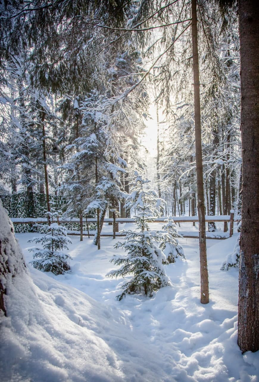 В Звенигородском лесу за три зимних месяца заблудились три человека, Март
