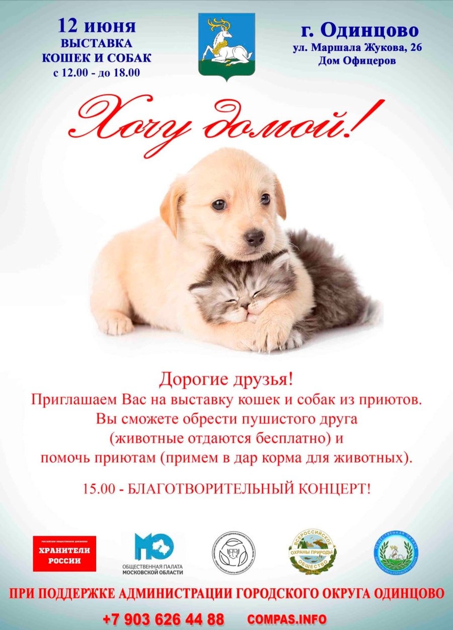 В Одинцовском округе 12 июня пройдет благотворительная выставка животных «Хочу домой», Май