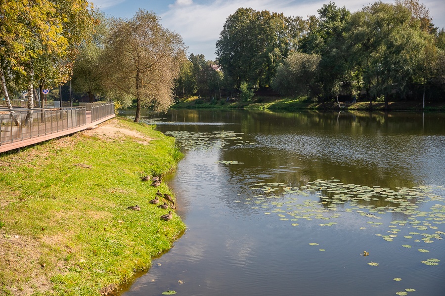 В рамках программы «100 прудов и озер» очистили большой Немчиновский пруд в Одинцовском округе. Всего было очищено более 160 водоемов, Октябрь