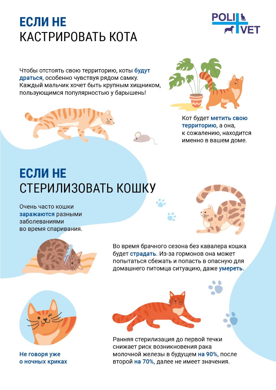 Животные текст 6, Жителей Одинцовского округа информируют об изменениях в региональном законодательстве, связанном с животными