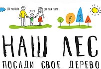 В рамках акции «Наш лес. Посади своё дерево» в Одинцовском районе высадят саженцы на 40 площадках