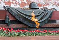Губернатор и делегация Подмосковья возложили цветы к Могиле Неизвестного Солдата в День защитника Отечества