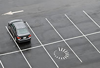 Сеть преимущественно бесплатных парковок создадут в Подмосковье