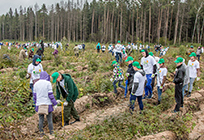 Свыше 60 тысяч деревьев посадили в Одинцовском районе участники акции «Наш лес. Посади свое дерево»