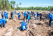В Одинцовском районе более 800 «единороссов» примут участие в акции «Лес Победы»