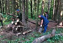 Участники субботника «Зеленая Россия» очистили от мусора 14 гектаров Подушкинского леса