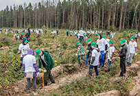 В Одинцовском районе основной площадкой акции «Наш лес. Посади свое дерево» станет участок Хлюпинского лесничества
