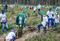 Более 19 000 воспитанников образовательных учреждений примут участие в акции «Наш лес. Посади свое дерево»