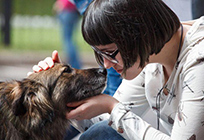 В Одинцовском районе 7 октября состоится первый региональный фестиваль помощи бездомным животным