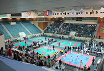 Более 700 человек приняли участие во Всероссийских соревнованиях по каратэ в Одинцово