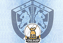 В Одинцово стартует традиционный хоккейный турнир «Кубок Вызова»