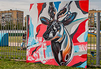 Новое граффити художника Дмитрия Левочкина появилось у Центрального стадиона Одинцово