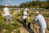Более 500 человек приняло участие в акции «Наш лес. Посади свое дерево» на центральной площадке Одинцовского района